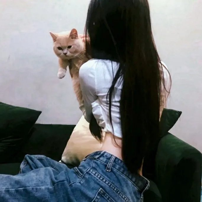 纽约娃娃
