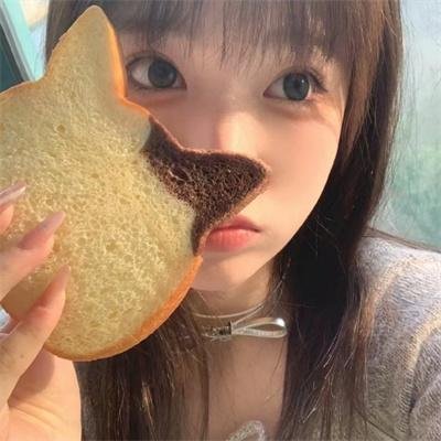 探索发现秘境追踪第五季